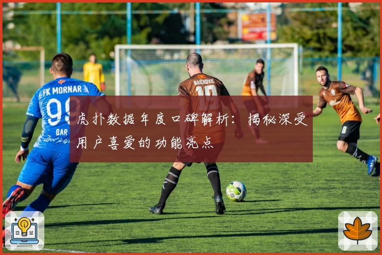 虎扑数据年度口碑解析：揭秘深受用户喜爱的功能亮点